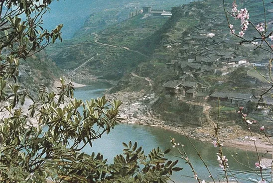 图片24