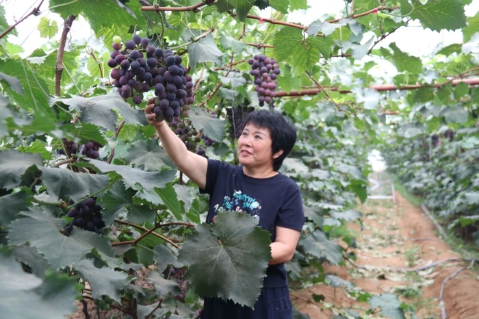 微信图片_2026-07-23_123405_204
