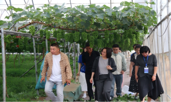微信图片_2026-07-26_181847_147