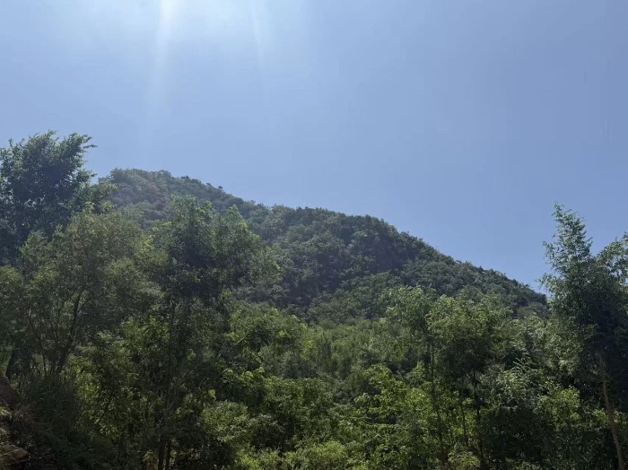 微信图片_2026-08-01_130150_519
